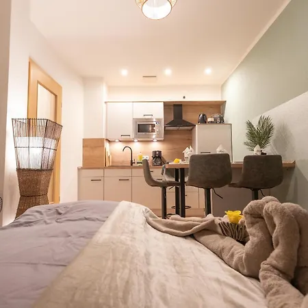 Apartment Koala Mit 500 Mbit's Wlan Und Balkon Leipzig